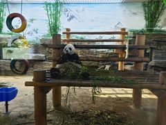 -西霞口神雕山野生动物世界