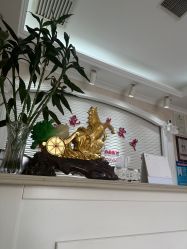 点击看大图 -香薇妮丝女子减肥院