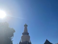 -张掖大佛寺景区