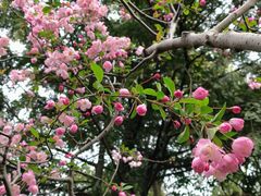 -静安公园(静安寺街道)