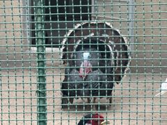 -韩记海鲜饺子(隆仁世家店)