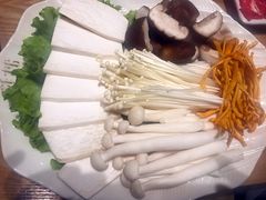 -掂档潮汕牛肉火锅(沈阳万象城店)