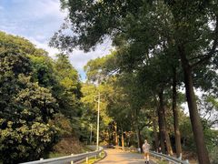 -风云岭森林公园