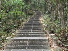 -深圳仙湖植物园