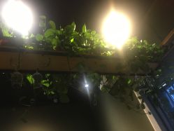 点击看大图 -藤野造型·专业烫染店