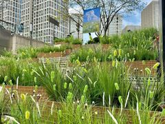 -龙湖重庆时代天街