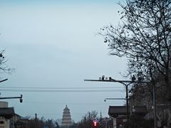 -子午路张记肉夹馍(翠华路店)