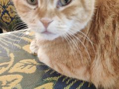-平行世界·猫咖(首经贸店)