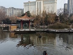 -西苑公园