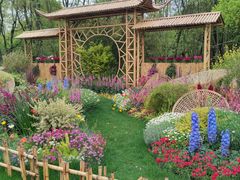 -上海共青森林公园