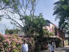 -三圣花乡旅游区