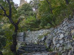 -北京鹫峰国家森林公园