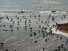 -青岛第一海水浴场