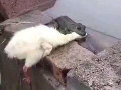 -Helens海伦司小酒馆(南京洪武路店)