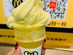 咸蛋黄冰淇淋-麦当劳(文武路店)