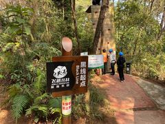 -芦仙山景区-飞越丛林探险乐园