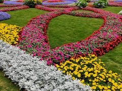 -深圳仙湖植物园