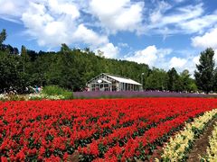 -富田农场