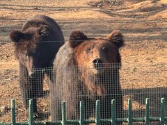 -秦皇岛野生动物园