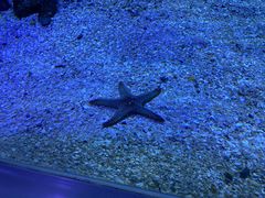 -常州海昌海洋探索馆