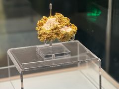 -安徽省地质博物馆