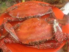 iphone_upload_pic-天津乾毓德饭庄·清真传统炒菜·海鲜烧烤(咸阳路店)