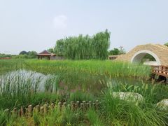 -张家湾公园