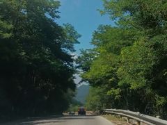 -齐岳山