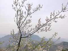 -云峰山自然风景区