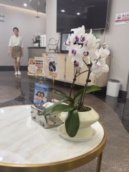-上海首尔丽格医疗美容医院