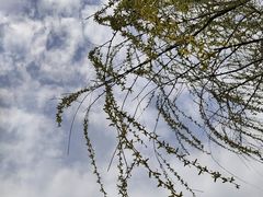 -终南山古楼观历史文化景区