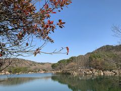 -白马涧龙池景区