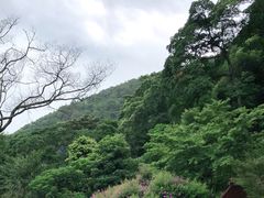 -广州市石门国家森林公园