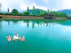 -帐篷客·溪龙茶谷度假酒店