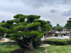 -中国唐苑