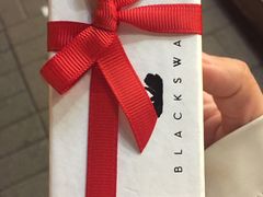 -BLACKSWAN黑天鹅(环球店)