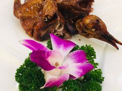 烤乳鸽-顺德人家食府(黄金广场店)