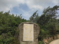 -大姆山草场