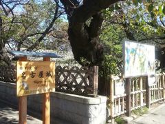 -名古屋城