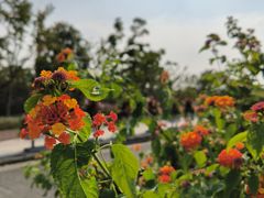-上海山野camping·户外天幕烧烤·团建拓展营地