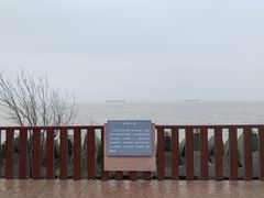 -上海滨江森林公园