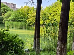 -青枫公园