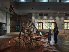 -自贡恐龙博物馆