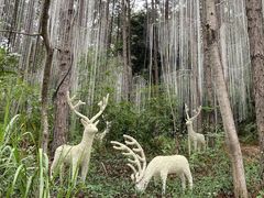 -森波拉火山温泉
