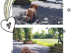 -广富林郊野公园