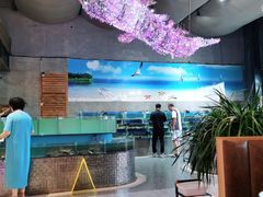 -蓝珊海鲜澳洲和牛自助餐厅