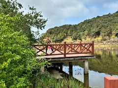 -广州市石门国家森林公园