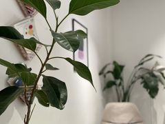 -COTTON CAFE(德信·中外公寓店)