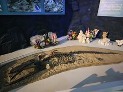 -上海中国航海博物馆