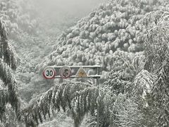 -江南天池